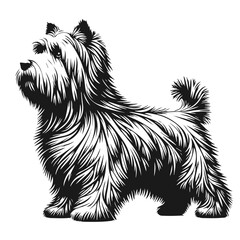 Beautiful Newfoundland dog vector silhouette isolated on white background