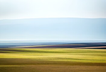 horizontal a landscape abstract, a minimalist background, meadow, texture. Generative AI.