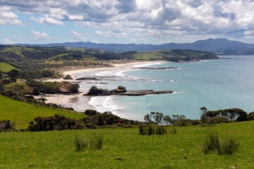 Tawharanui beach in the summertime, Warkworth, Auckland, New Zealand.