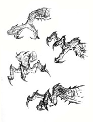 claws of dragon pencil drawing for card decoration illustration