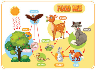 Depicts forest animals and their food relationships