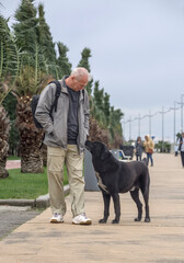 A tourist pets a stray dog that has come to him on the street. The need of animals for human love...