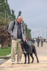 A tourist pets a stray dog that has come to him on the street. The need of animals for human love...