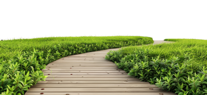 Wooden walkway in grass lawn isolated on transparent background