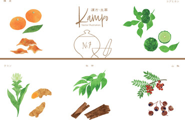 生薬ベクターイラストセット7（陳皮・コブミカン・ウコン・杜仲・山椒）