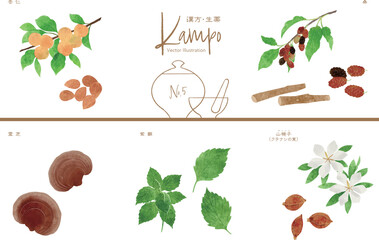 生薬ベクターイラストセット5（杏仁・桑・霊芝・紫蘇・サンシシ）