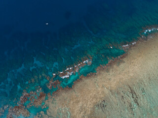奄美、サンゴ礁の島