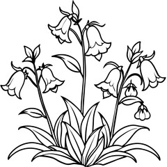 Canterbury Bells flower outline illustration coloring book page design, Canterbury Bells flower black and white line art drawing coloring book pages for children and adults
