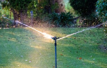 Naklejka premium A water sprayer silhouetted against the early morning sun watering an out of focus garden