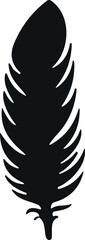 Bird Feather. Feathers vector in a flat style. Pen icon. Black quill feather silhouette. Plumelet