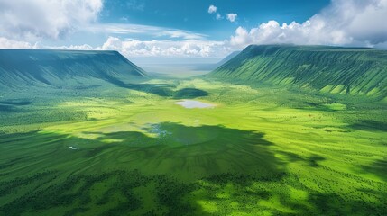 Aerial view of the Ngorongoro Crater in Tanzania, featuring the vast volcanic caldera, diverse wildlife, and lush green vegetation.     