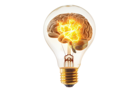 Brain inside a light bulb glowing isolated on transparent background