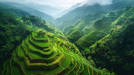 Aerial view of the Banaue Rice Terraces in the Philippines, with their intricate stepped fields carved into the mountainsides and surrounded by lush greenery.     