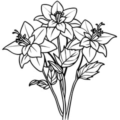 Columbine flower outline illustration coloring book page design, Columbine flower black and white line art drawing coloring book pages for children and adults
