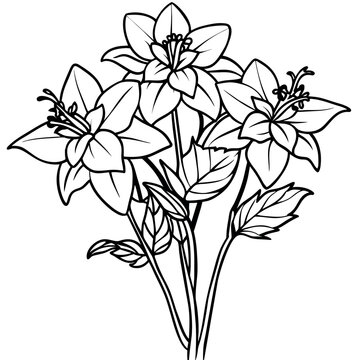 recommend clip art: Columbine flower outline illustration coloring book page design, Columbine flower black and white line art drawing coloring book pages for children and adults
                    