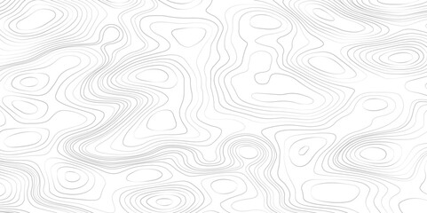 Abstract Topographic Contour Line Pattern in Gray and White, Line topography map seamless pattern. Mountain hiking trail over terrain.