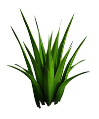 Pianta albero fusto  con e senza vaso   Albero con e senza foglie arancioni, verdi, gialle, rosse fondo trasparente e isolato cactus	
