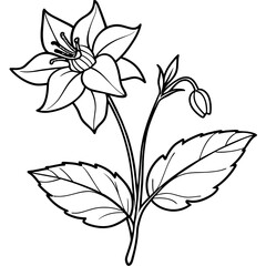 Obraz premium Columbine flower outline illustration coloring book page design, Columbine flower black and white line art drawing coloring book pages for children and adults 
