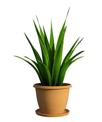 Pianta albero fusto  con e senza vaso   Albero con e senza foglie arancioni, verdi, gialle, rosse fondo trasparente e isolato cactus	
