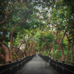 Park in National Palace Museum Taipei Taiwan.