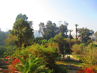 The Aquarium Grotto Garden in Cairo in Egypt