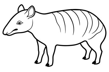 tapir line art silhouette illustration