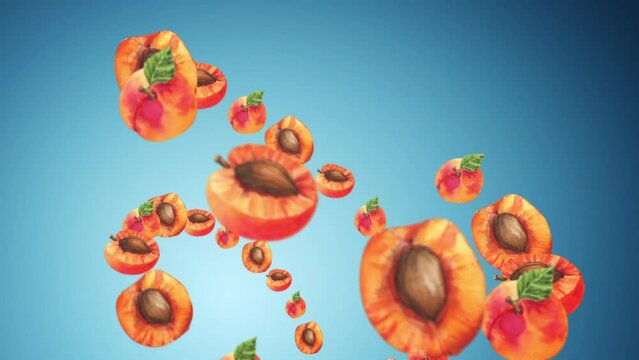 apricot fruit background video