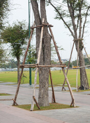 Wooden support for a tree in the park