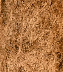 Fibers on palm bark as an abstract background. Texture