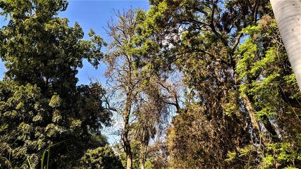 Orman Garden in Giza in Egypt