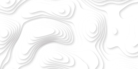 Abstract geometric white and gray color background illustration. Design Graphic Vector 