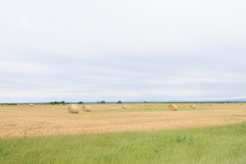 Rural landscape dotted with hay bales under an overcast sky.