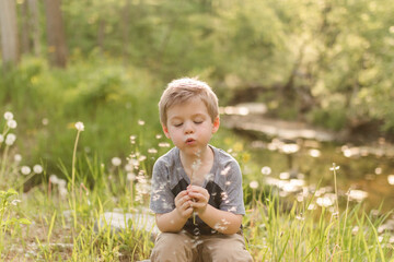 Young boy blowing dandelion seeds by a forest stream