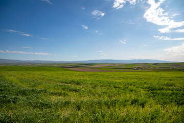 Obraz premium A large, open field with a clear blue sky
