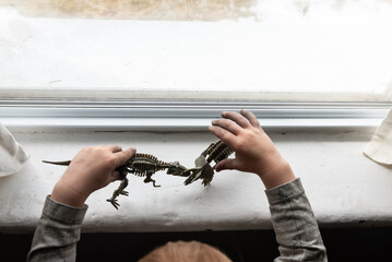 hild pretending with realistic dinosaur skeleton models on window sill
