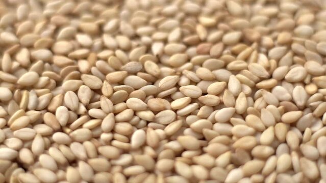 Macro video of sesame seeds. Bunch of sesame seeds placed on rotating disk.