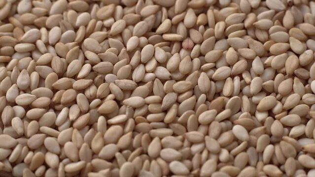 Macro video of sesame seeds. Bunch of sesame seeds placed on rotating disk.