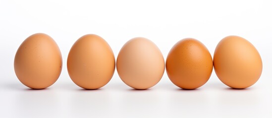 A copy space image featuring raw eggs against a white background