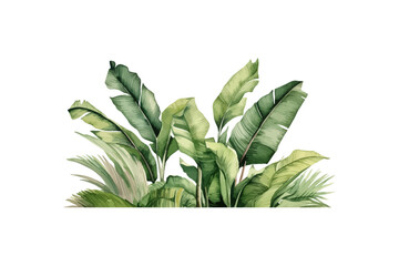 Lush Green Tropical Leaves Watercolor Art. Vector illustration design.