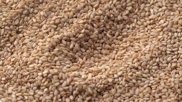 Macro video of sesame seeds. Bunch of sesame seeds placed on rotating disk.