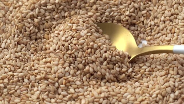 Macro video of sesame seeds. Bunch of sesame seeds placed on rotating disk.