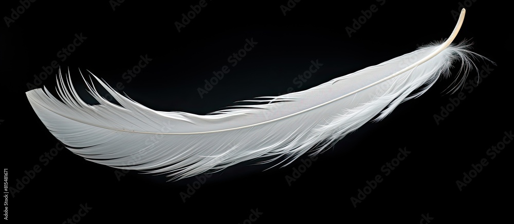 Poster a stunning white feather gracefully floats in the air standing out against the black background with