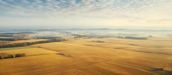 Fototapeta premium Aerial shot of autumn fields capturing the serene beauty of the landscape. Creative banner. Copyspace image