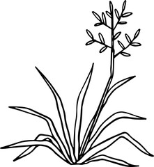 hand drawn side view of tree drawing.