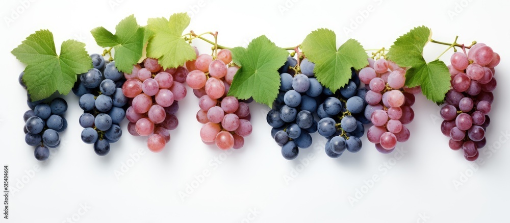 Poster a layout of green pink and blue grapes with leaves isolated on a white background the image includes