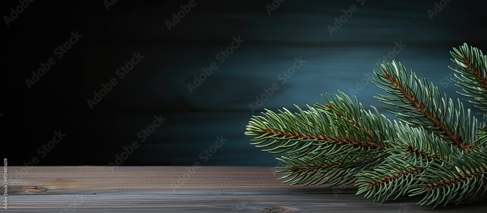 Poster copy space image of a fir tree branch resting on a wooden table