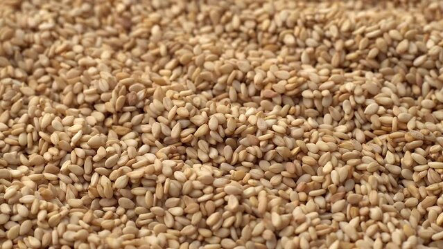 Macro video of sesame seeds. Bunch of sesame seeds placed on rotating disk.