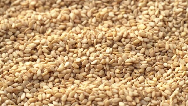 Macro video of sesame seeds. Bunch of sesame seeds placed on rotating disk.