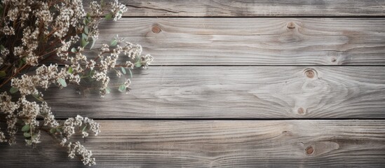Fototapeta premium A rustic wooden backdrop adorned with delicate twigs creates an ideal copy space image
