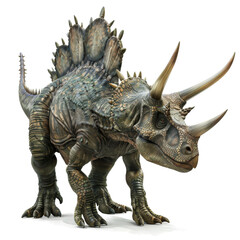 Fototapeta premium A grey dinosaur with three horns on its head and a large frill on its back.